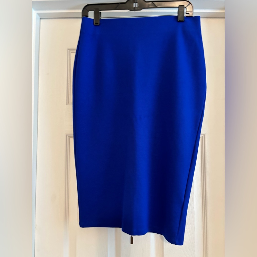 The Limited Blue Midi Skirt